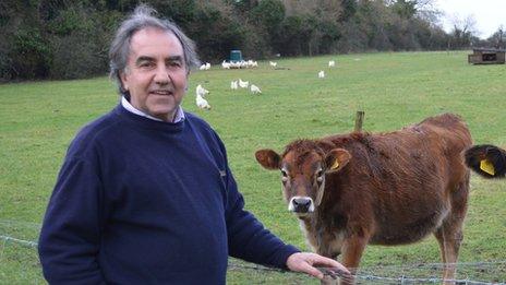 Nick Snelgar and his cows