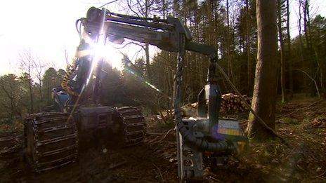 A digger moving logs