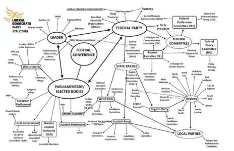 Lib Dem org chart