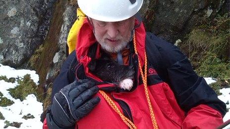 Mountain rescuer with dog