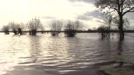 Flooded land on the Somerset Levels