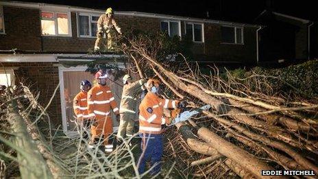 Aftermath of storm in Sussex