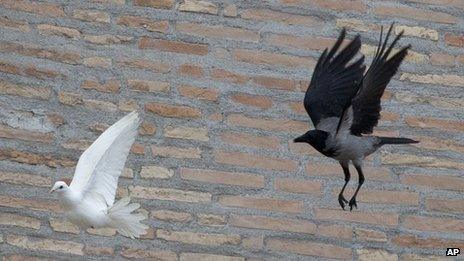 A dove is chased by a black crow in St Peter's Square at the Vatican