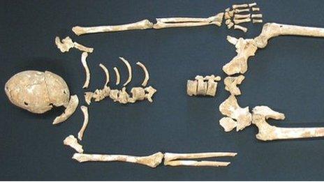 The skeletal remains of plague victims found in Germany