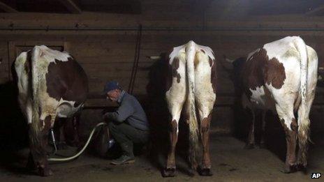 Farmer and his cows (library image)