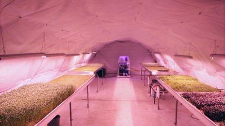 The Growing Underground farm