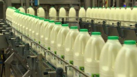 Milk cartons on conveyor belt