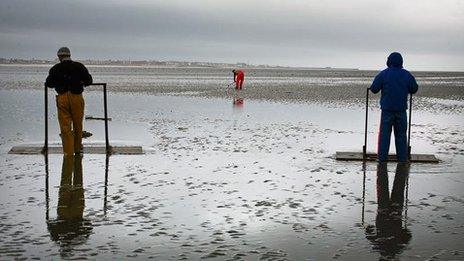 Cockle pickers working in Morecambe Bay after the tragedy