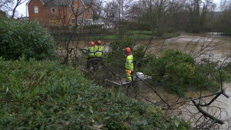 Fallen tree in River Medway at Tonbridge