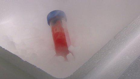 Blood test tube in ice