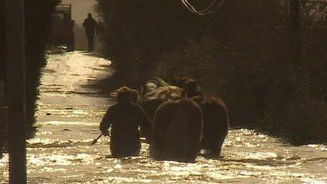 Farmers moving hoses through floodwater