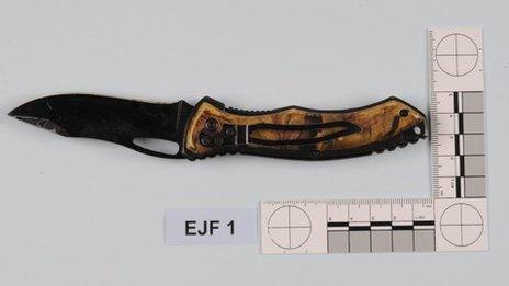 The knife used by Joanna Dennehy