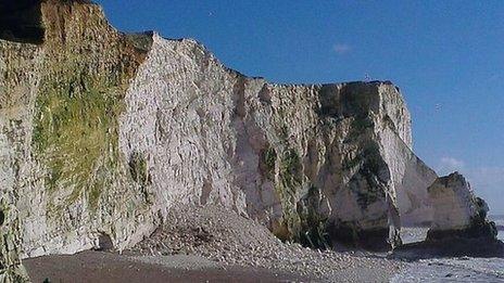 Cliff fall at Seaford Head - 8 Feb 2014