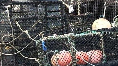 Fishing nets and cages