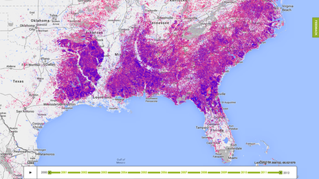 forest loss and gain