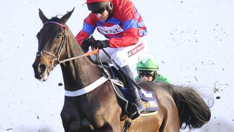 Sprinter Sacre