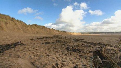 Braunton Burrows