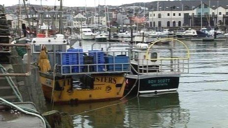 Fishing boats