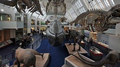 General interior view of the Natural History Museum