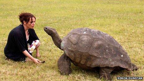 Jonathan the giant tortoise