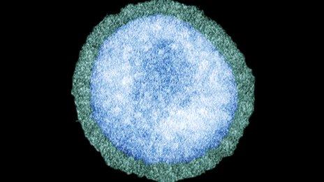 Flu virus