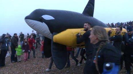 People carrying killer whale model