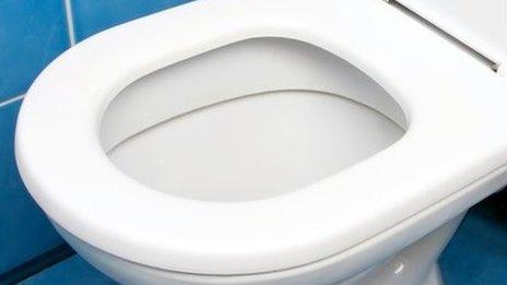 Toilet seat