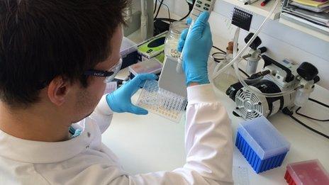 technician testing samples