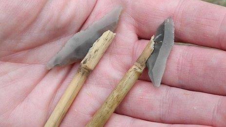 Suggested hafting positions of Cheddar points on wooden spears