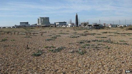 Dungeness