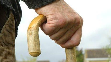 Walking stick