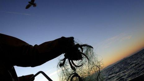 Fisherman holding crab