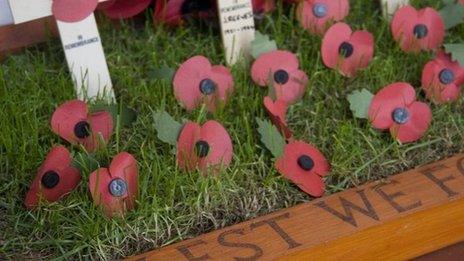 Remembrance Day poppies