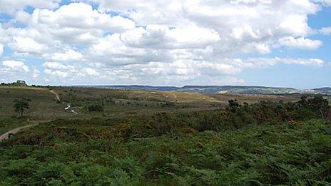 Woodbury Common