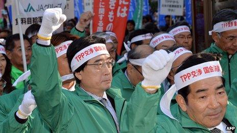 Around 3,000 demonstrators, mostly farmers, take to the streets of Tokyo on December 3, 2013