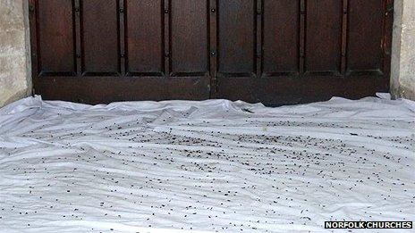 Sheets placed on the floor of St Andrew's Church to protect it from bat droppings