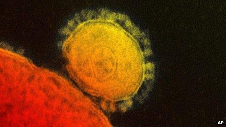 Mers coronavirus seen in a file photo provided by the National Institute for Allergy and Infectious Diseases