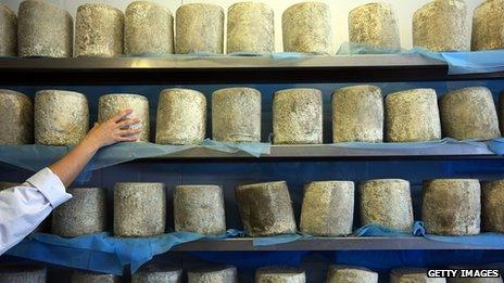 A cheesemaker checks on their produce