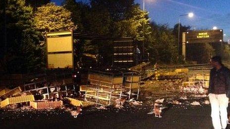 Chickens on the M62 after a lorry crash