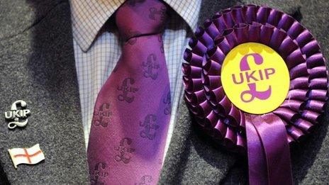 Man wearing UKIP rosette