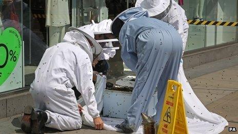 Beekeepers at Topshop in Victoria Street, central London