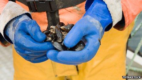 Man holding mussels