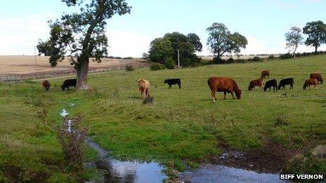 Biscathorpe field close to where the drilling will take place