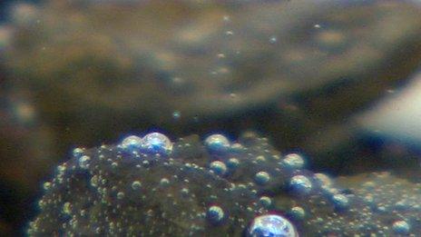 Bubbles rising from samples of shale rock