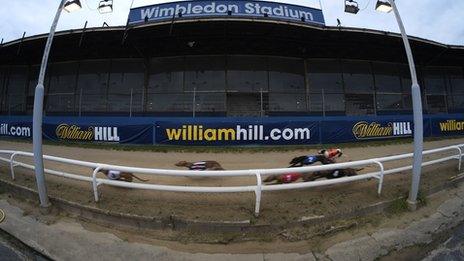 Wimbledon Greyhound Stadium