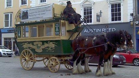 Lizard Stallions in Truro. Pic: Andrew Segal