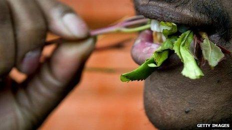 A man chewing khat leaves