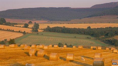 farmland