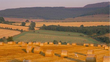 farmland