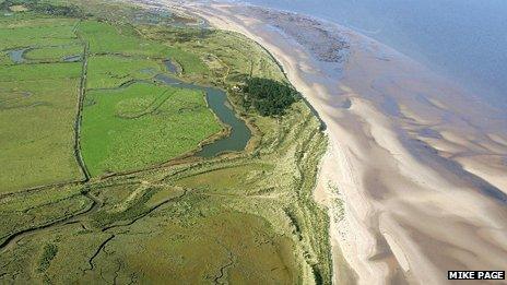 Norfolk Wildlife Trust's Holmes Dunes Nature Reserve